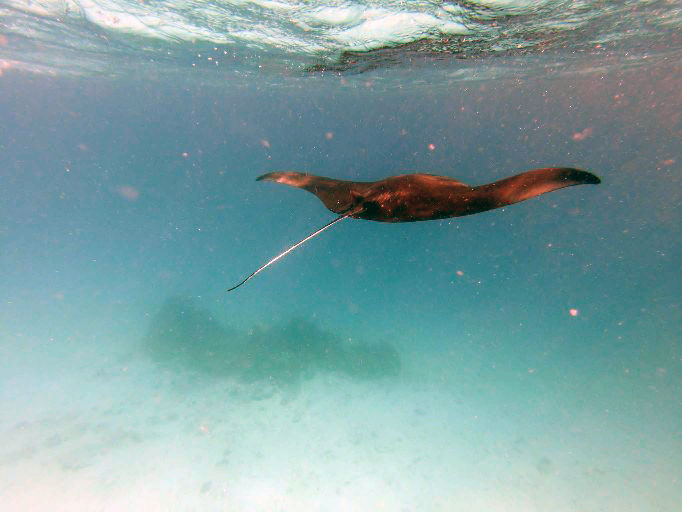 2023 - 07 - Sandies Bathala - 242